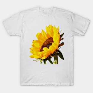 Sunflower Magic T-Shirt